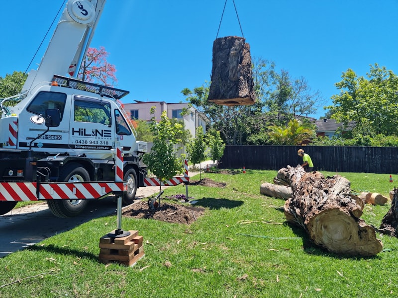 Tree Service pros ready to quote your tree service