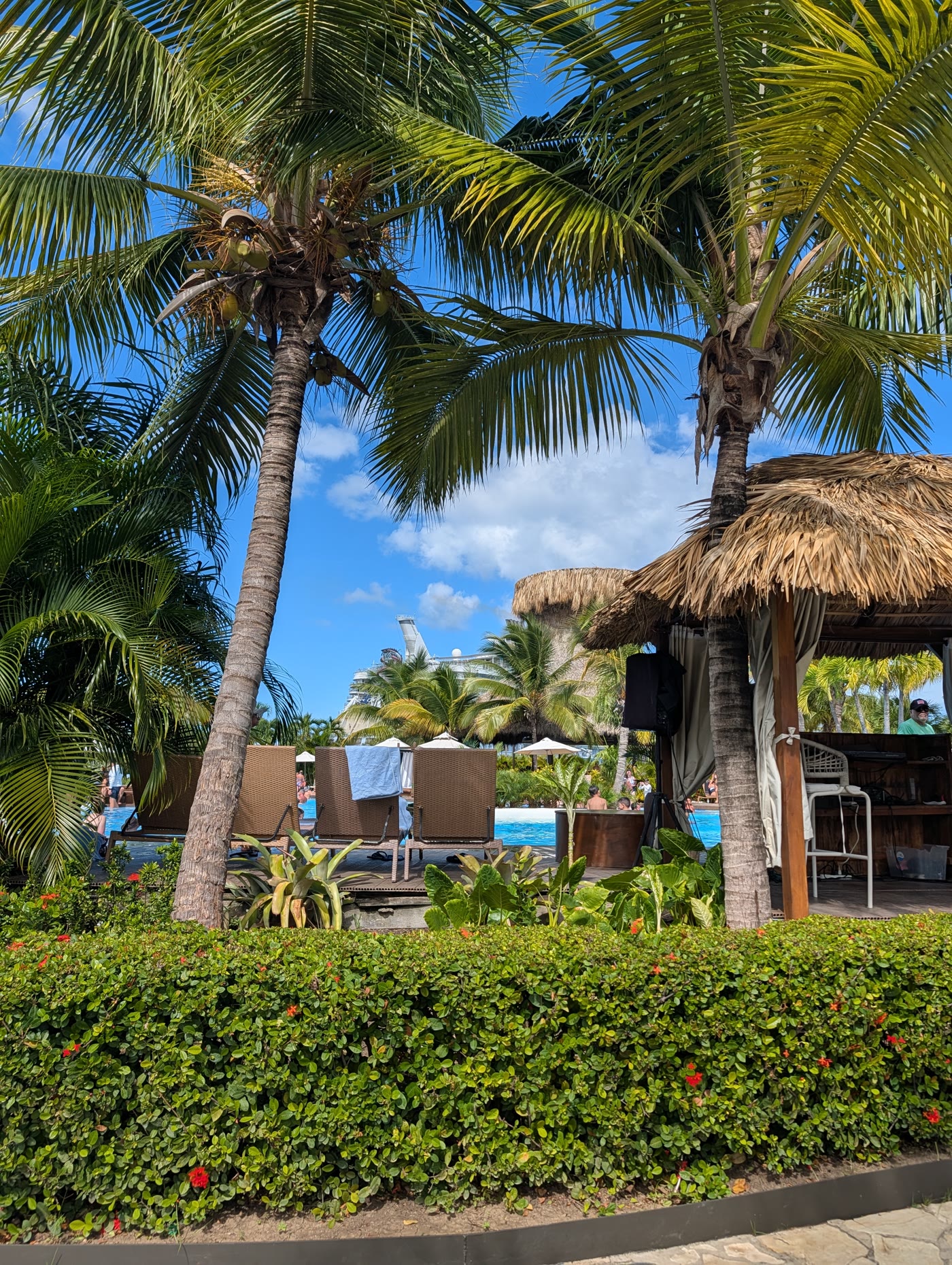 Palms and tiki hut in the Dominican Republic