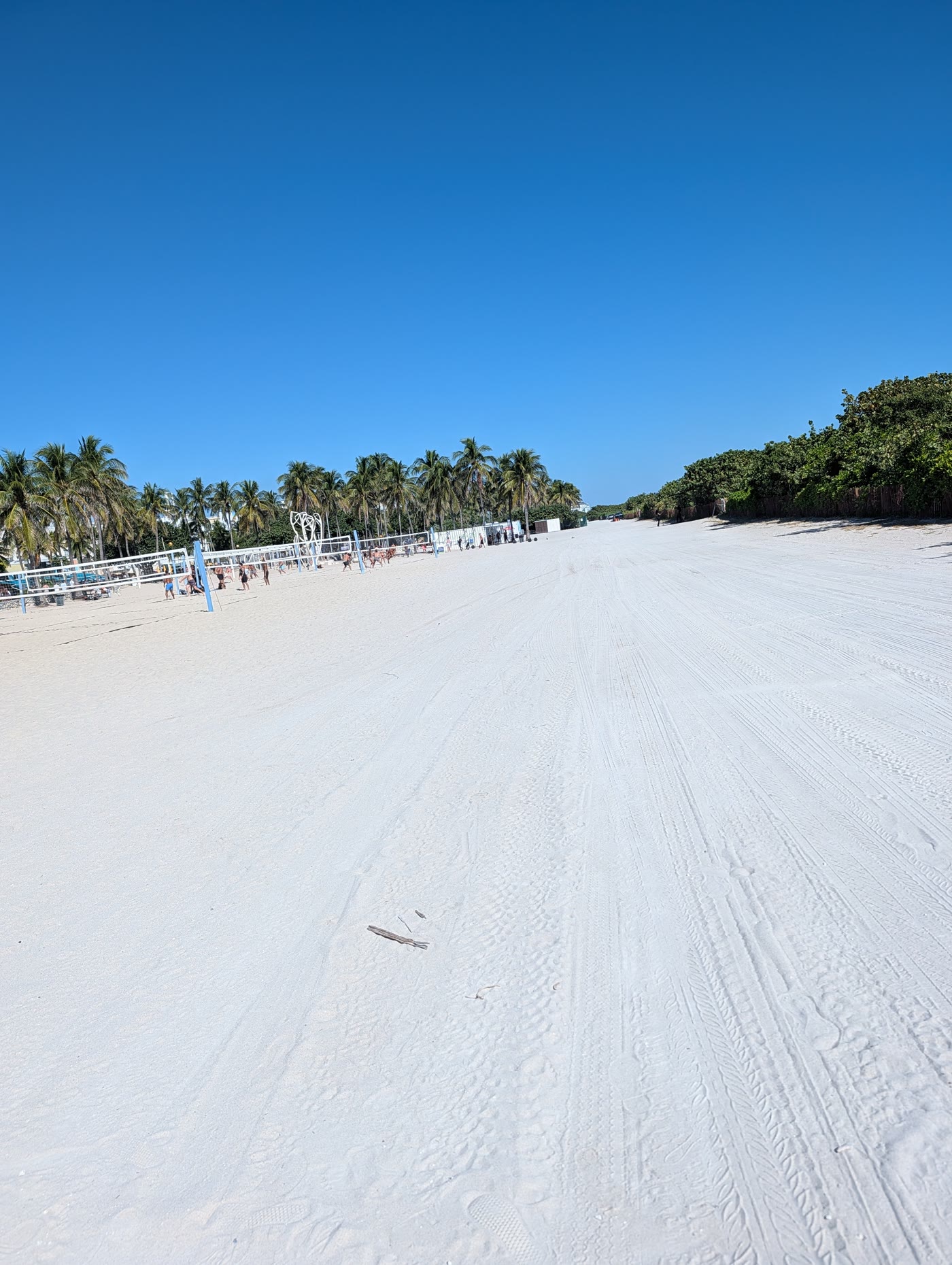 White-sand beach in the Dominican Republic
