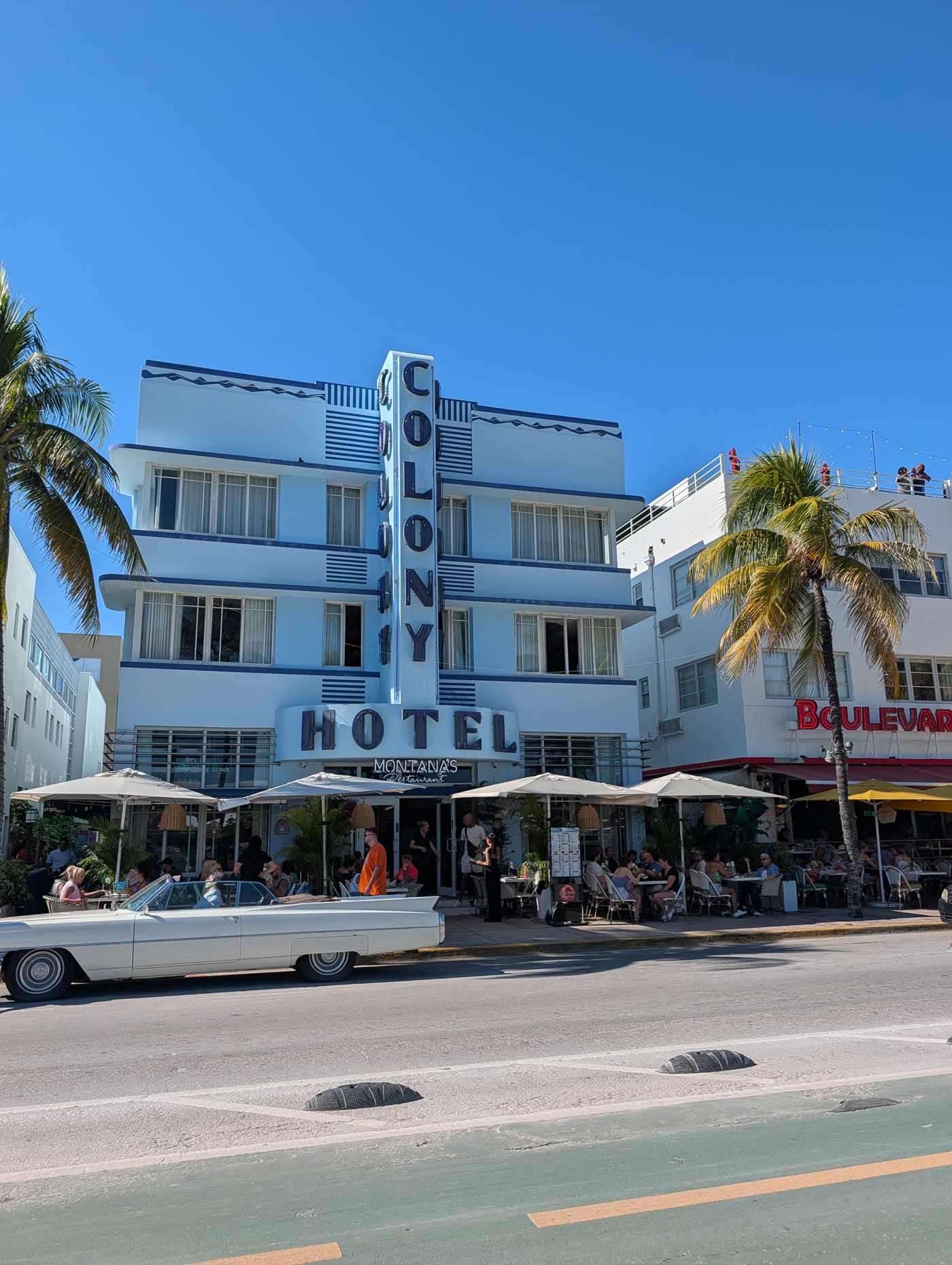 South Beach Art Deco hotel and palms in Miami
